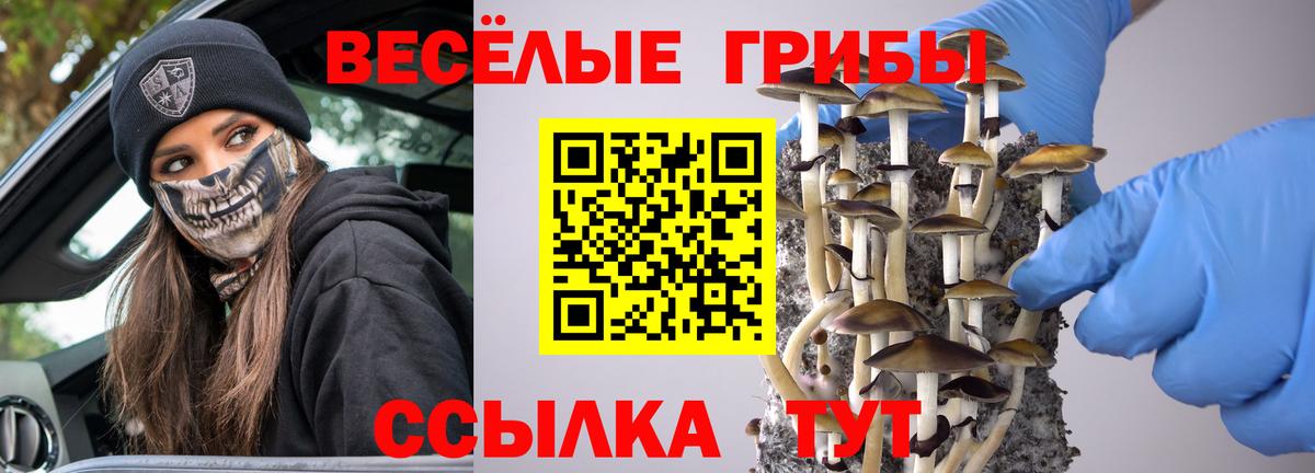 Псилоцибиновые грибы Psilocybe  где можно купить   Галлюциногенные грибы Cubensis  Новошахтинск  Вход с VPN 